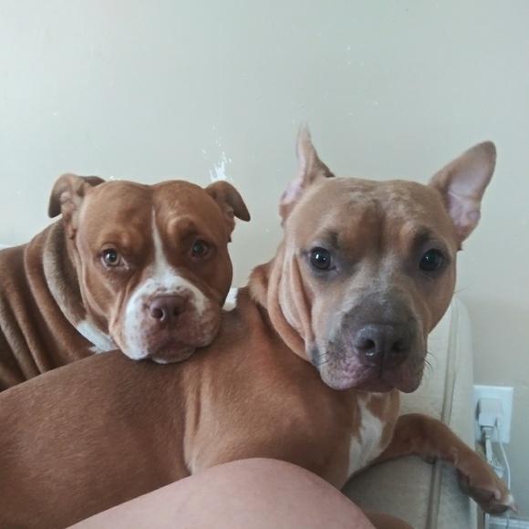 Meet your Posher, Kimberly - Picture 5 of 6